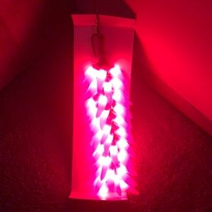 Chili Pepper Light Swag